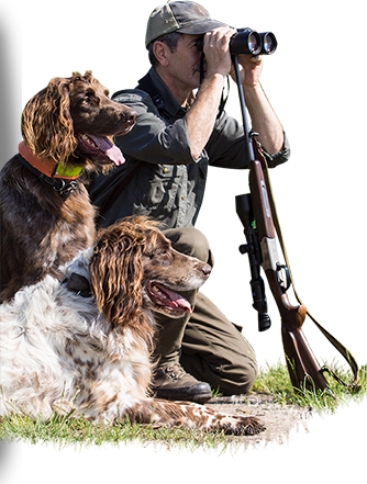 Collier chien de chasse : accessoires personnalisés - FARENC FABRICANT